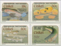Ciskei - 1989 - Fish - Yv 153/56 - Fische