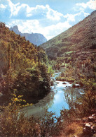 48-LES GORGES DU TARN LES GRANDES CAUSSES-N°2805-D/0193 - Autres & Non Classés