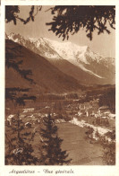 74-CHAMONIX-N°2805-B/0393 - Chamonix-Mont-Blanc