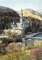 65-LOURDES-N°2805-B/0303 - Lourdes