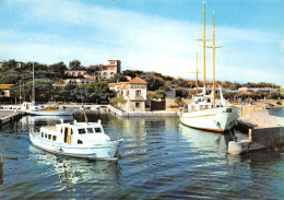 83-BANDOL-N°2806-C/0031 - Bandol