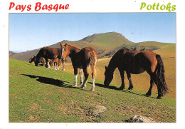 64-PAYS BASQUE POTTOKS-N°2806-A/0247 - Autres & Non Classés