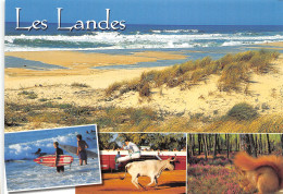 40-LES LANDES-N°2806-A/0217 - Other & Unclassified