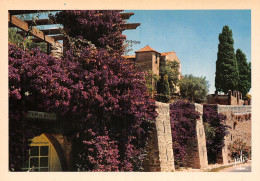 83-BORMES LES MIMOSAS-N°2805-D/0387 - Bormes-les-Mimosas