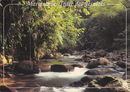 972-MARTINIQUE FORET TROPICALE-N°2807-A/0337 - Other & Unclassified