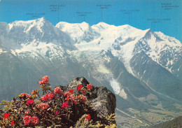74-CHAMONIX MONT BLANC-N°2806-D/0175 - Chamonix-Mont-Blanc