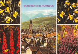 68-MUNSTER-N°2806-C/0235 - Munster