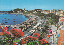 83-BANDOL-N°2807-C/0293 - Bandol