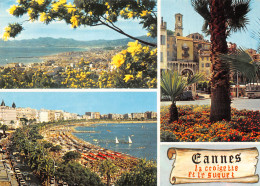 06-CANNES-N°2807-C/0237 - Cannes