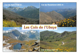 04-LES COLS DE L UBAYE-N°2807-C/0231 - Sonstige & Ohne Zuordnung