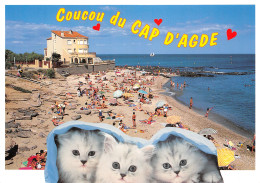 34-CAP D AGDE-N°2808-D/0355 - Other & Unclassified