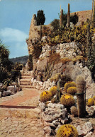 06-EZE VILLAGE-N°2809-C/0241 - Eze