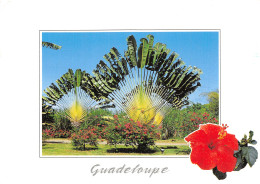 971-GUADELOUPE POINTE A PITRE-N°2810-B/0159 - Other & Unclassified