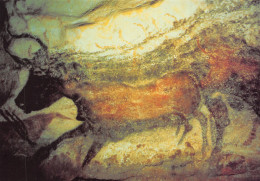 24-LES GROTTES DE LASCAUX-N°2810-A/0375 - Sonstige & Ohne Zuordnung