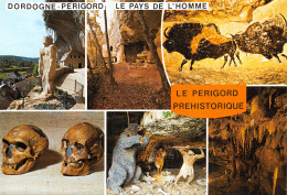 24-LE PERIGORD PREHISTORIQUE-N°2810-A/0361 - Sonstige & Ohne Zuordnung