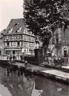 68-COLMAR-N°2809-D/0237 - Colmar