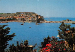 66-COLLIOURE-N°2810-C/0167 - Collioure