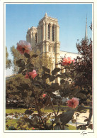 75-PARIS NOTRE DAME DE PARIS-N°2811-C/0209 - Notre Dame Von Paris