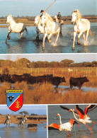 13-CAMARGUE-N°2811-B/0019 - Sonstige & Ohne Zuordnung