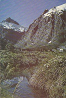 AK 215288 NEW ZEALAND - Hollyford Valley - Neuseeland