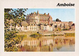 37-AMBOISE-N°2812-A/0099 - Amboise
