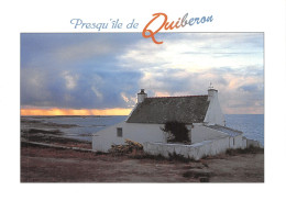 56-QUIBERON-N°2812-C/0149 - Quiberon