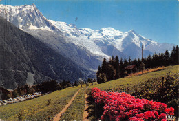 74-CHAMONIX MONT BLANC-N°2812-B/0305 - Chamonix-Mont-Blanc