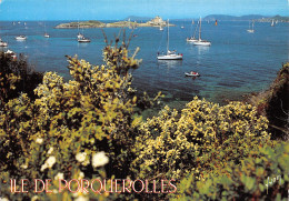 83-ILE DE PORQUEROLLE-N°2812-B/0141 - Altri & Non Classificati