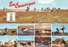 13-CAMARGUE-N°2814-A/0227 - Other & Unclassified