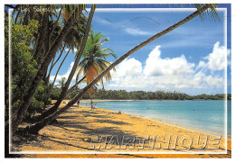 972-MARTINIQUE SAINTE ANNE PLAGE DES SALINES-N°2814-A/0089 - Autres & Non Classés