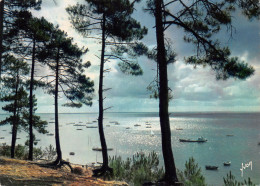 33-ARCACHON-N°2814-D/0115 - Arcachon