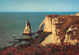 76-ETRETAT-N°2814-C/0131 - Etretat