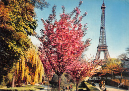 75-PARIS TOUR EIFFEL-N°2815-C/0033 - Tour Eiffel
