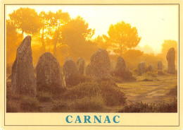 56-CARNAC-N°2816-C/0241 - Carnac