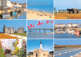 17-ILE DE RE-N°2817-B/0239 - Ile De Ré