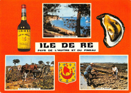 17-ILE DE RE-N°2817-B/0021 - Ile De Ré
