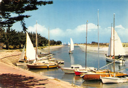 17-ILE DE RE-N°2817-B/0019 - Ile De Ré