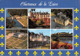 37-CHATEAUX DE LA LOIRE-N°2817-A/0193 - Other & Unclassified