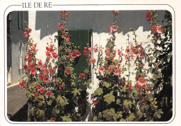 17-ILE DE RE-N°2816-D/0343 - Ile De Ré