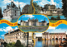 37-CHATEAUS DE LA LOIRE-N°2817-D/0335 - Other & Unclassified