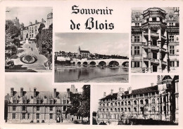 41-BLOIS-N°2817-D/0181 - Blois