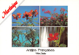 972-MARTINIQUE-N°2817-C/0311 - Autres & Non Classés