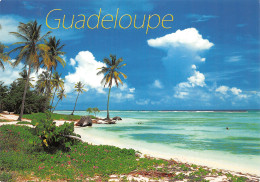 972-GUADELOUPE SAINTE ANNE-N°2817-C/0107 - Other & Unclassified