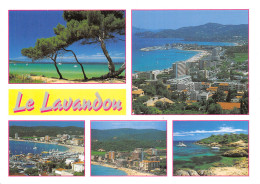 83-LE LAVANDOU-N°2818-D/0019 - Le Lavandou