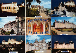 37-PANORAMA DES CHATEAUX DE LA LOIRE-N°2818-B/0233 - Other & Unclassified