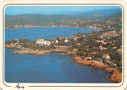 83-AGAY-N°2818-A/0395 - Other & Unclassified