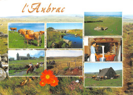 48-PAYSAGE DE L AUBRAC-N°2818-D/0083 - Autres & Non Classés