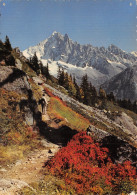 74-CHAMONIX-N°2819-A/0155 - Chamonix-Mont-Blanc