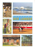 40-PANORAMA DES LANDES-N°2819-A/0087 - Altri & Non Classificati