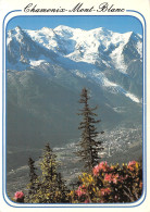 74-CHAMONIX-N°2819-D/0353 - Chamonix-Mont-Blanc